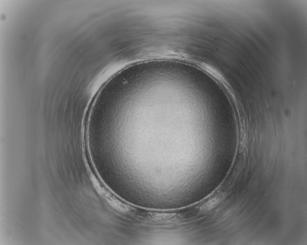 X0000057091439200509161618