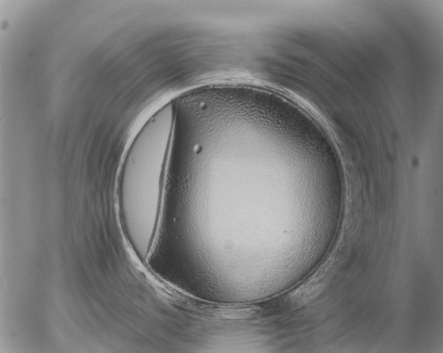 X0000057091440200509161618