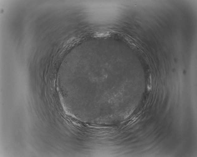 X0000057091441200509161617