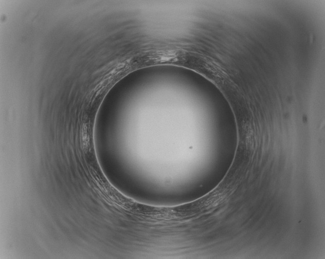 X0000057091442200509161617