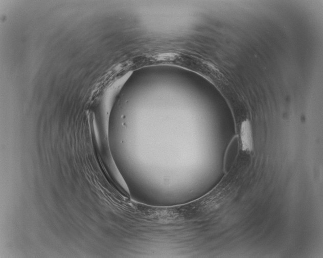 X0000057091443200509161617