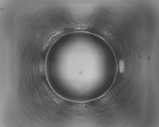 X0000057091444200509161617