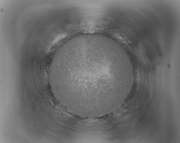 X0000057091446200509161617