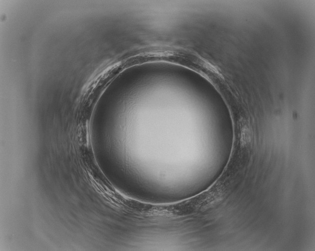 X0000057091448200509161617