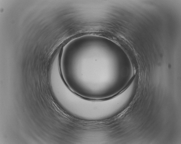 X0000057091449200509161617