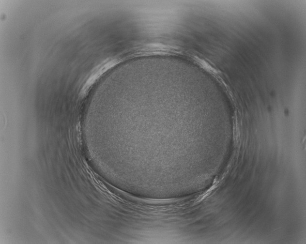 X0000057091453200509161617