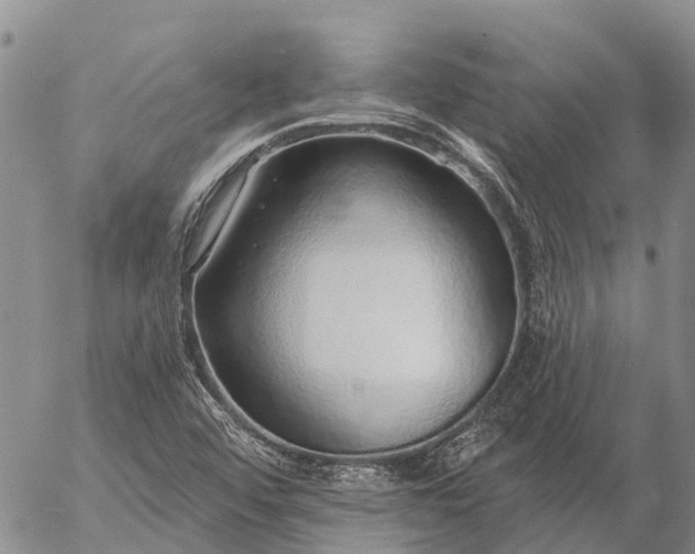 X0000057091456200509161617