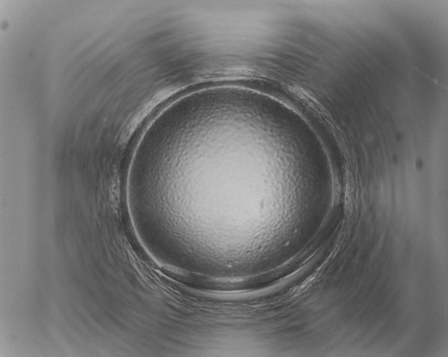 X0000057091457200509161617