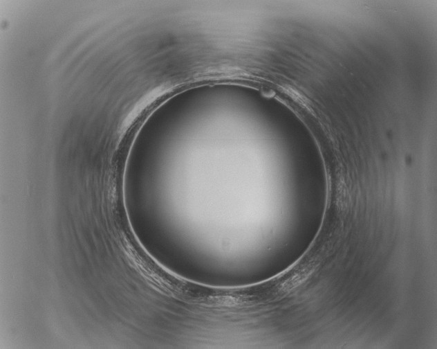 X0000057091458200509161617