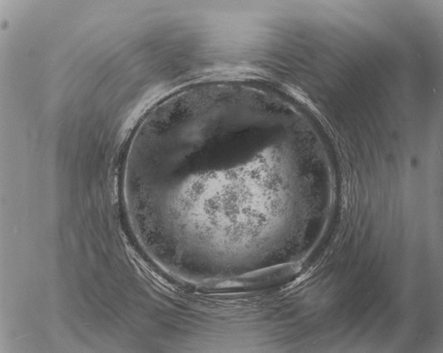 X0000057091459200509161617