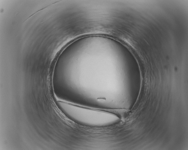 X0000057091460200509161617