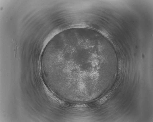 X0000057091466200509161617