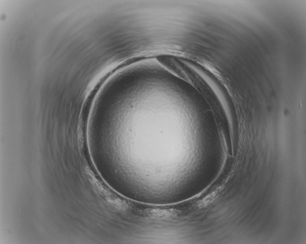 X0000057091469200509161617