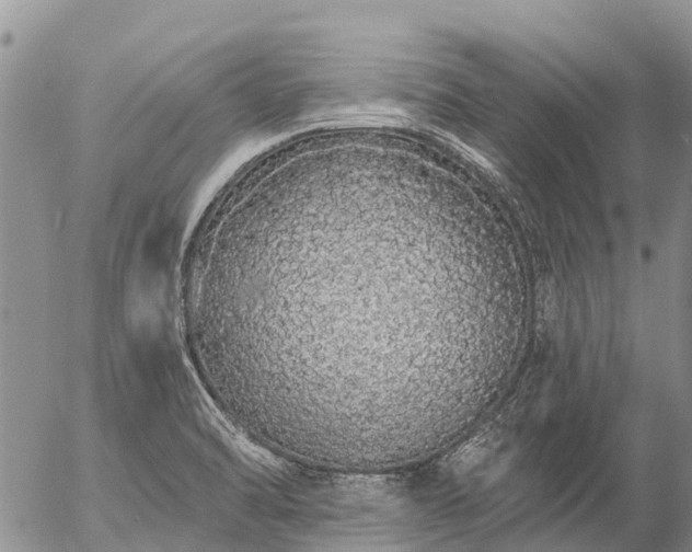 X0000057091470200509161617