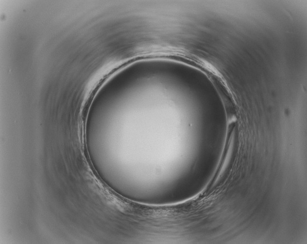 X0000057091472200509161617