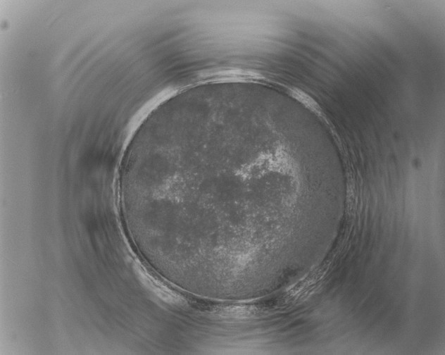 X0000057091474200509161617