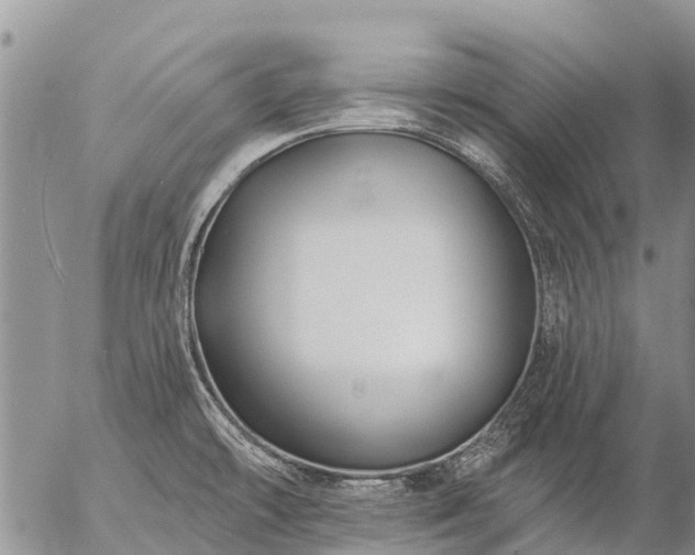 X0000057091478200509161617