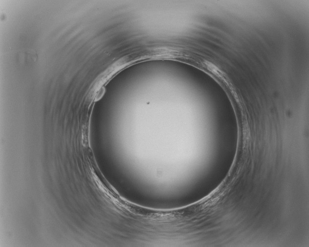 X0000057091481200509161617