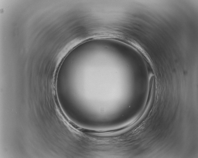 X0000057091485200509161617