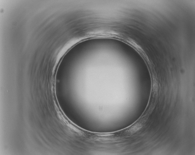 X0000057091486200509161617