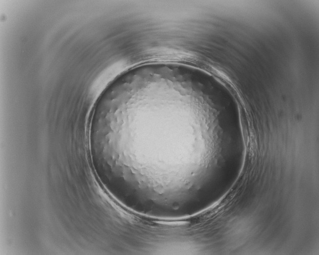 X0000057091487200509161617