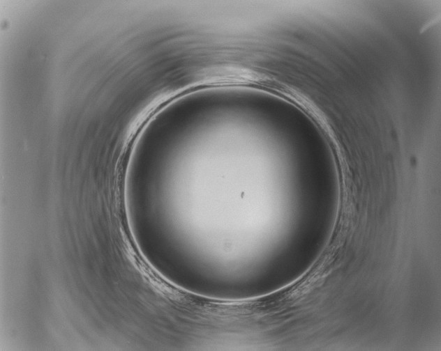 X0000057091488200509161617