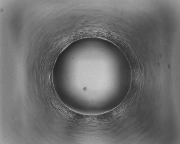 X0000057091489200509161616