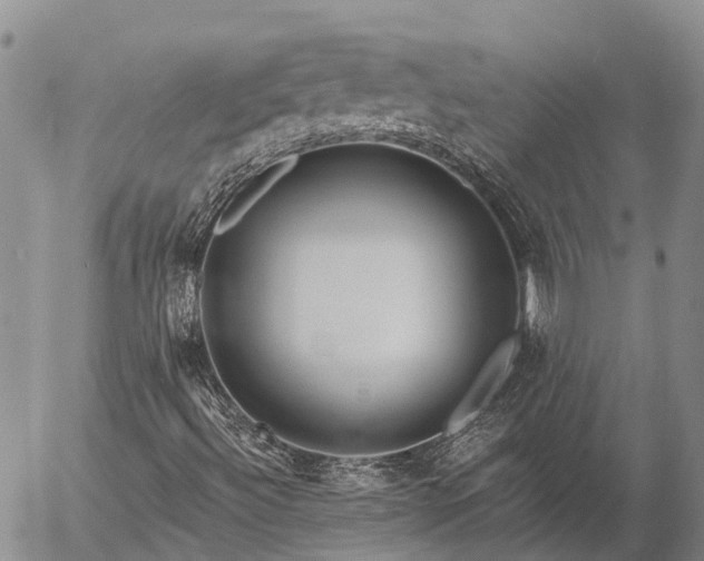 X0000057091492200509161616