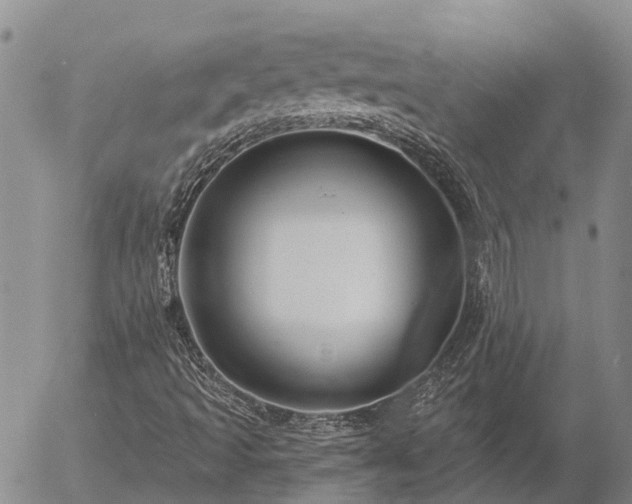 X0000057091493200509161616