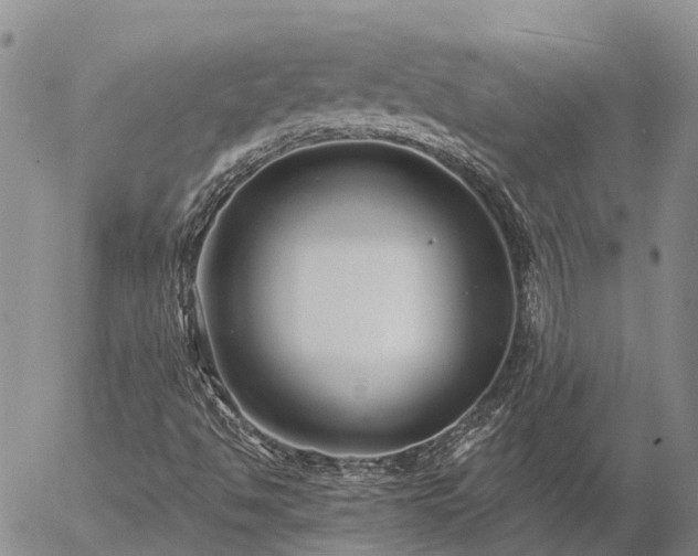 X0000057091494200509161616