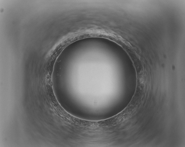 X0000057091495200509161616