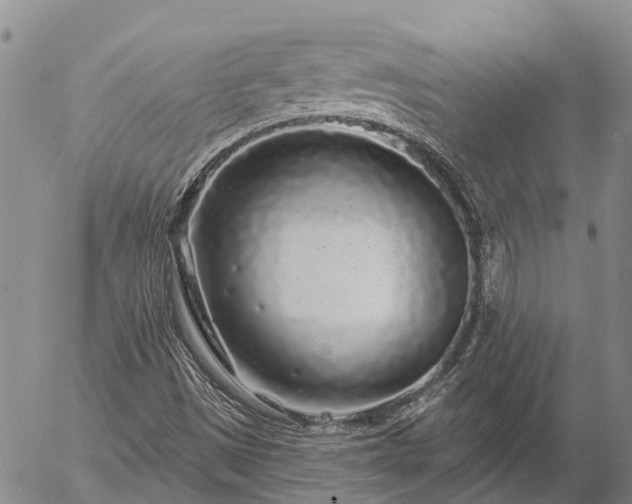 X0000057091497200509161616