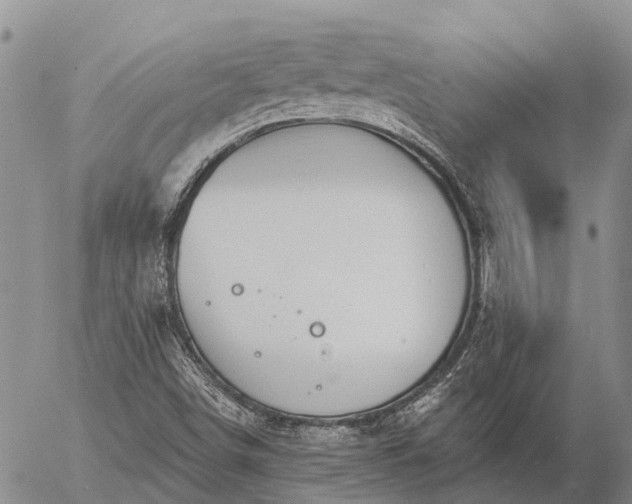 X0000057091498200509161616