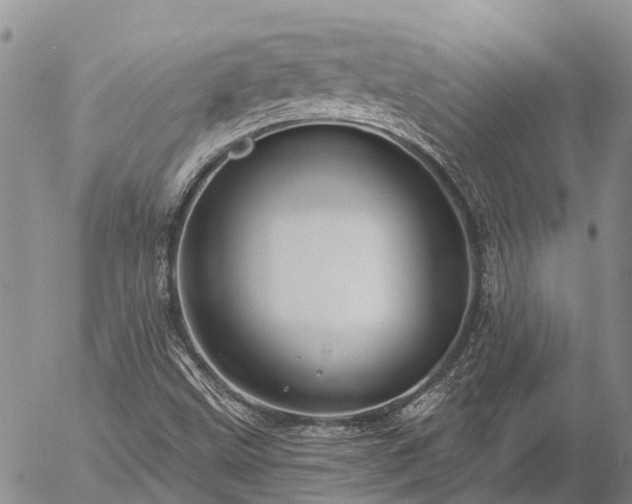 X0000057091499200509161616