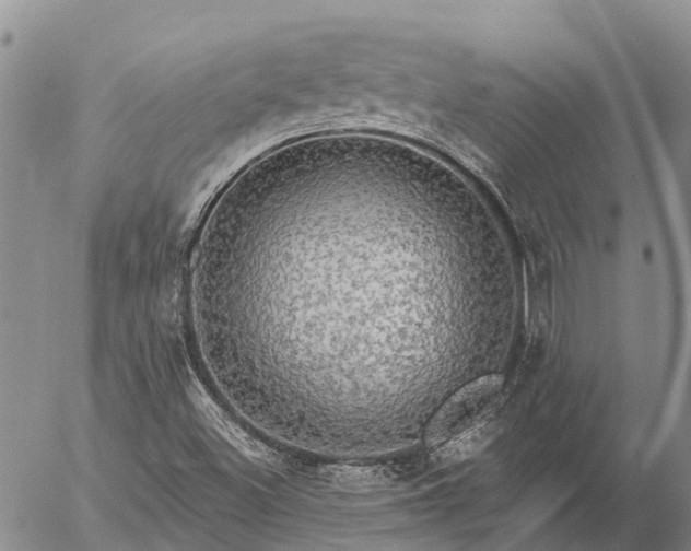 X0000057091500200509161616