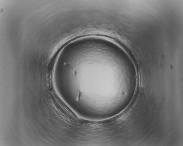 X0000057091501200509161616