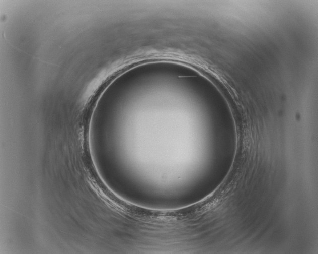 X0000057091503200509161616