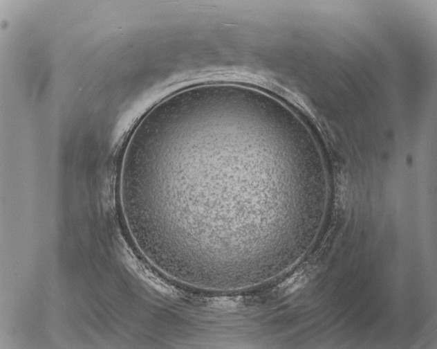 X0000057091504200509161616