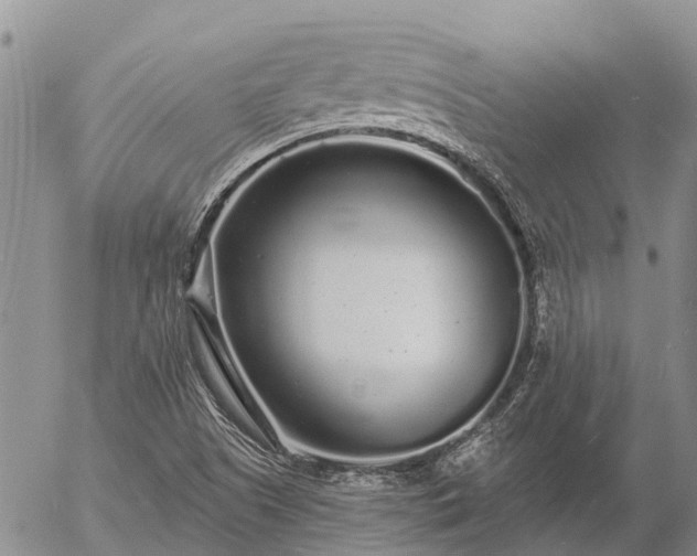 X0000057091505200509161616