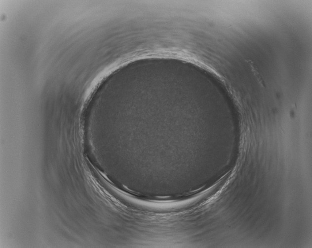 X0000057091506200509161616