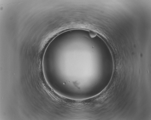 X0000057091507200509161616