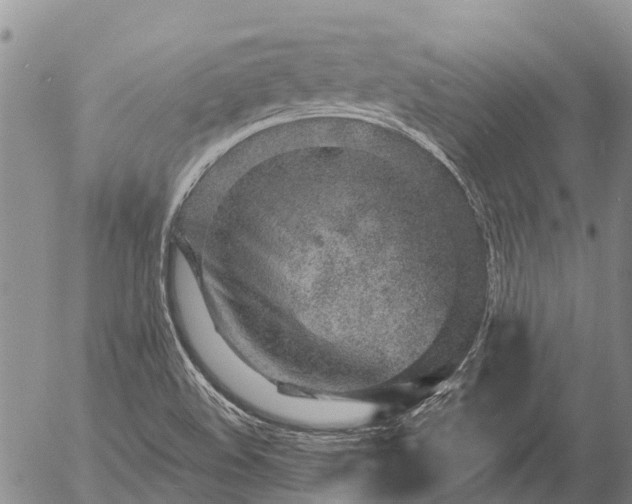 X0000057091508200509161616