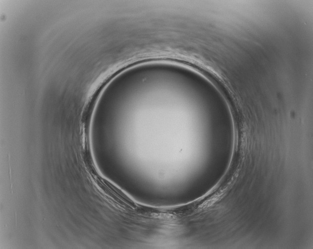 X0000057091509200509161616