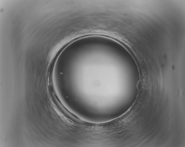 X0000057091511200509161616