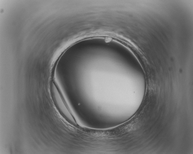 X0000057091512200509161616