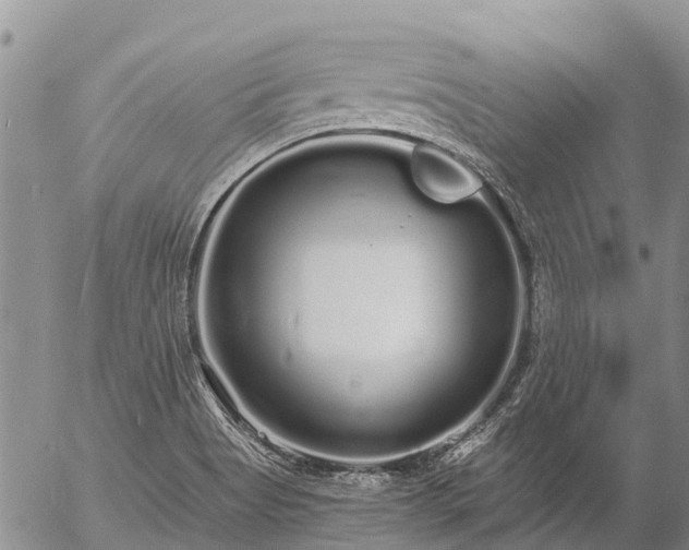 X0000057091513200509161616