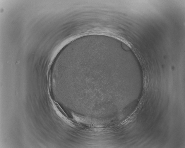 X0000057091515200509161616