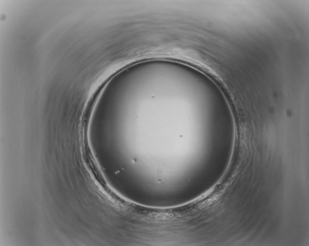 X0000057091517200509161616