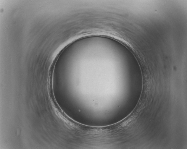 X0000057091518200509161616