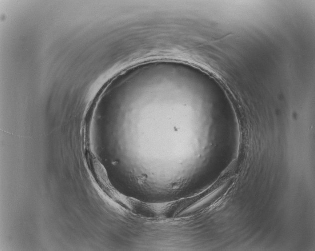 X0000057091519200509161616